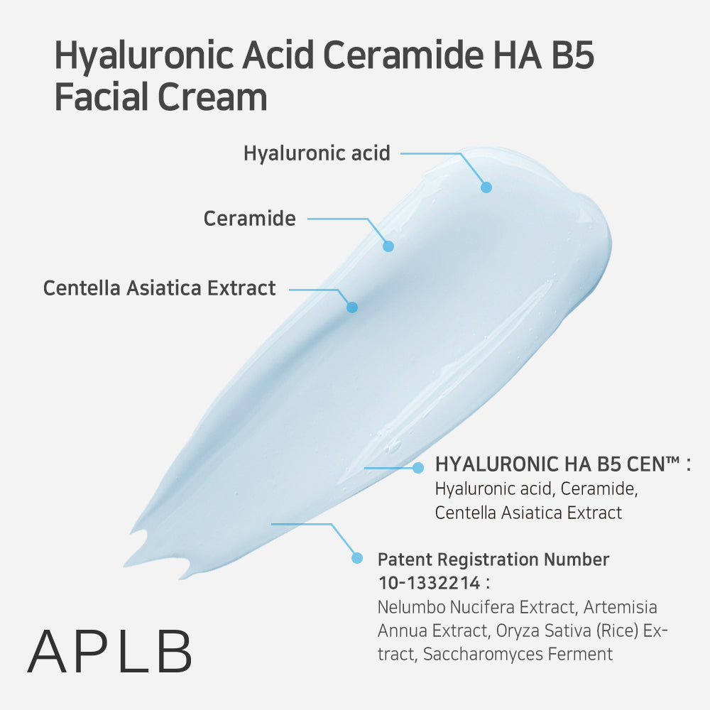 Krem do twarzy Hyaluronic Acid Ceramide HA B5 Facial Cream
