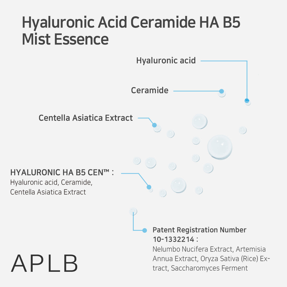 Esencja w mgiełce Hyaluronic Acid Ceramide HA B5 Mist Essence