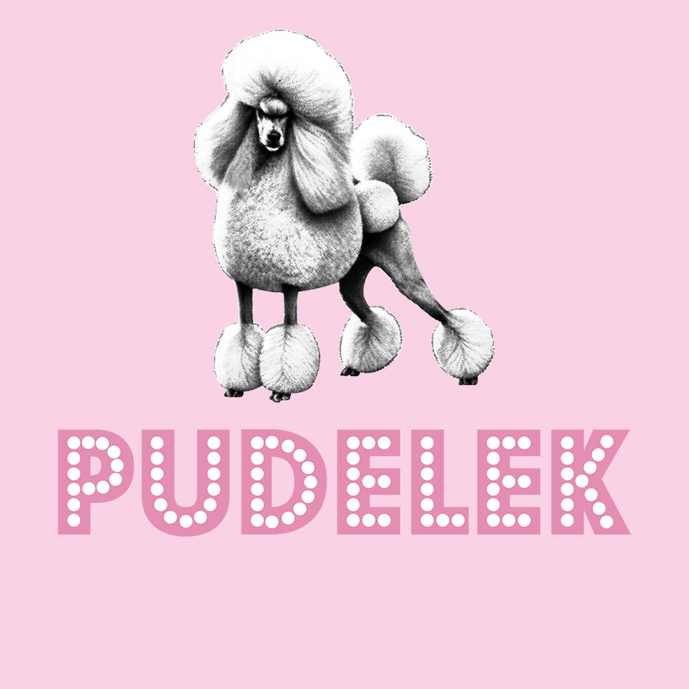 Pudelek